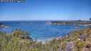 ./images/calvert/foggy-cove/20260620/foggy-cove20260620_123002M.jpg