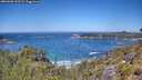 ./images/calvert/foggy-cove/20260620/foggy-cove20260620_123501M.jpg
