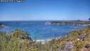 ./images/calvert/foggy-cove/20260620/foggy-cove20260620_124501M.jpg