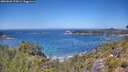 ./images/calvert/foggy-cove/20260620/foggy-cove20260620_125001M.jpg