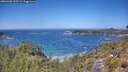 ./images/calvert/foggy-cove/20260620/foggy-cove20260620_125501M.jpg
