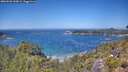 ./images/calvert/foggy-cove/20260620/foggy-cove20260620_130001M.jpg