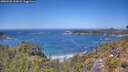 ./images/calvert/foggy-cove/20260620/foggy-cove20260620_131001M.jpg