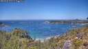 ./images/calvert/foggy-cove/20260620/foggy-cove20260620_131501M.jpg