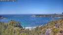 ./images/calvert/foggy-cove/20260620/foggy-cove20260620_132001M.jpg