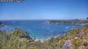./images/calvert/foggy-cove/20260620/foggy-cove20260620_133001M.jpg