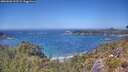 ./images/calvert/foggy-cove/20260620/foggy-cove20260620_133501M.jpg