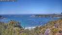 ./images/calvert/foggy-cove/20260620/foggy-cove20260620_134001M.jpg