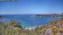 ./images/calvert/foggy-cove/20260620/foggy-cove20260620_134501M.jpg