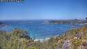 ./images/calvert/foggy-cove/20260620/foggy-cove20260620_135001M.jpg