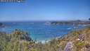 ./images/calvert/foggy-cove/20260620/foggy-cove20260620_141501M.jpg