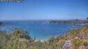 ./images/calvert/foggy-cove/20260620/foggy-cove20260620_142501M.jpg