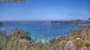 ./images/calvert/foggy-cove/20260620/foggy-cove20260620_143001M.jpg