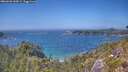 ./images/calvert/foggy-cove/20260620/foggy-cove20260620_144501M.jpg