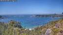 ./images/calvert/foggy-cove/20260620/foggy-cove20260620_145001M.jpg