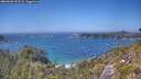./images/calvert/foggy-cove/20260620/foggy-cove20260620_145501M.jpg