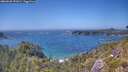 ./images/calvert/foggy-cove/20260620/foggy-cove20260620_151002M.jpg