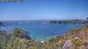 ./images/calvert/foggy-cove/20260620/foggy-cove20260620_152502M.jpg