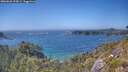 ./images/calvert/foggy-cove/20260620/foggy-cove20260620_154501M.jpg