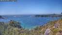 ./images/calvert/foggy-cove/20260620/foggy-cove20260620_155001M.jpg