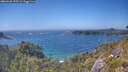 ./images/calvert/foggy-cove/20260620/foggy-cove20260620_155501M.jpg