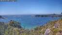 ./images/calvert/foggy-cove/20260620/foggy-cove20260620_160001M.jpg