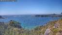 ./images/calvert/foggy-cove/20260620/foggy-cove20260620_161501M.jpg