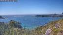 ./images/calvert/foggy-cove/20260620/foggy-cove20260620_163501M.jpg