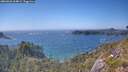 ./images/calvert/foggy-cove/20260620/foggy-cove20260620_164001M.jpg