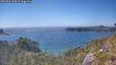 ./images/calvert/foggy-cove/20260620/foggy-cove20260620_164501M.jpg