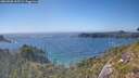 ./images/calvert/foggy-cove/20260620/foggy-cove20260620_165501M.jpg
