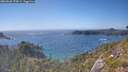 ./images/calvert/foggy-cove/20260620/foggy-cove20260620_170002M.jpg