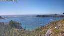 ./images/calvert/foggy-cove/20260620/foggy-cove20260620_170501M.jpg