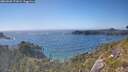 ./images/calvert/foggy-cove/20260620/foggy-cove20260620_171001M.jpg
