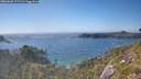 ./images/calvert/foggy-cove/20260620/foggy-cove20260620_171502M.jpg