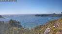./images/calvert/foggy-cove/20260620/foggy-cove20260620_172001M.jpg