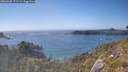 ./images/calvert/foggy-cove/20260620/foggy-cove20260620_172502M.jpg