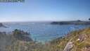 ./images/calvert/foggy-cove/20260620/foggy-cove20260620_173001M.jpg