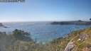 ./images/calvert/foggy-cove/20260620/foggy-cove20260620_175501M.jpg