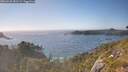 ./images/calvert/foggy-cove/20260620/foggy-cove20260620_181501M.jpg