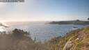 ./images/calvert/foggy-cove/20260620/foggy-cove20260620_191501M.jpg