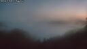 ./images/calvert/foggy-cove/20260621/foggy-cove20260621_043001M.jpg