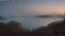 ./images/calvert/foggy-cove/20260621/foggy-cove20260621_043502M.jpg