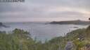 ./images/calvert/foggy-cove/20260621/foggy-cove20260621_051001M.jpg