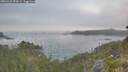 ./images/calvert/foggy-cove/20260621/foggy-cove20260621_053001M.jpg