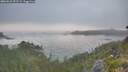 ./images/calvert/foggy-cove/20260621/foggy-cove20260621_053501M.jpg