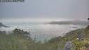 ./images/calvert/foggy-cove/20260621/foggy-cove20260621_054001M.jpg