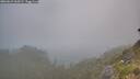 ./images/calvert/foggy-cove/20260621/foggy-cove20260621_060501M.jpg