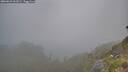 ./images/calvert/foggy-cove/20260621/foggy-cove20260621_061002M.jpg