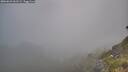 ./images/calvert/foggy-cove/20260621/foggy-cove20260621_061501M.jpg